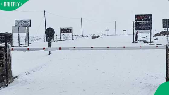 Heavy snowfall hits Drakensberg region, Sani Pass closed as KZN officials monitor conditions