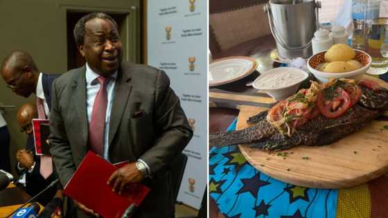 Tito Mboweni shows off his grilled fish dinner in Rwanda, SA dishes out jokes: "Hope they had enough garlic"