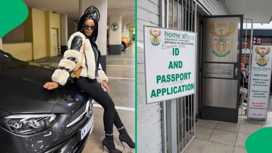 Home Affairs to cancel Chidimma Adetshina's South African ID, SA rejoices