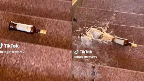 TikTok video of woman breaking alcohol bottles leaves Mzansi booze lovers hacked: "You're intentionally hurting my soul"