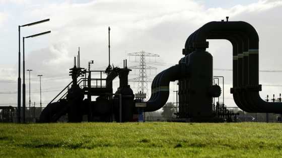 Dutch to shut Europe's biggest gas field after quakes