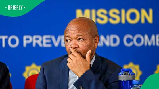 Retired Interpol ambassador slams Senzo Mchunu for PKTT disbandment