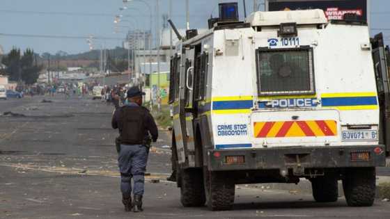 Protea Glen: Woman's head found in shallow grave, potential link to body parts in fridge