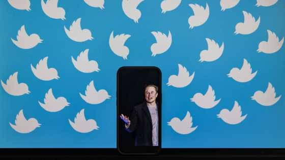 Elon Musk subpoenas former Twitter chief Jack Dorsey