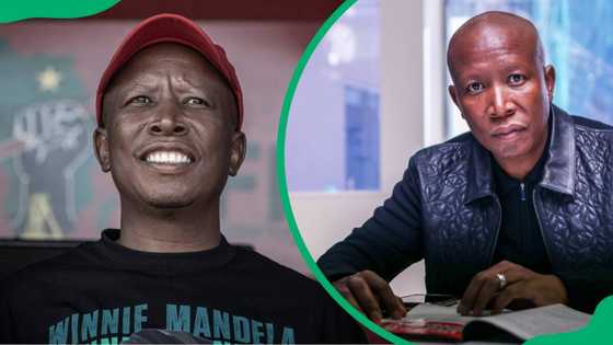 Julius Malema's biography: age, wife, kids, house, political career and contact details