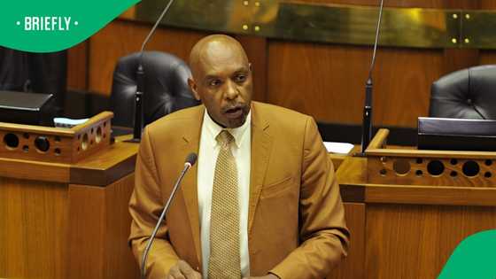 Judge slams Former ANC MP Vincent Smith who was sentenced to 7 years imprisonment