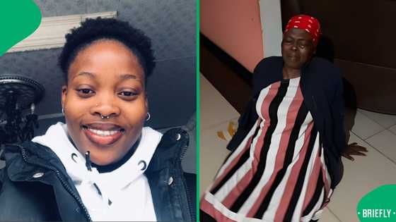 "Gogo didn't even try to pretend": SA left in stitches by mom's elephant school project attempt