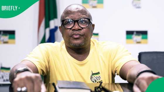 ANC's Fikile Mbalula calls on Home Affairs minister to clarify Chidimma Adetshina's citizenship