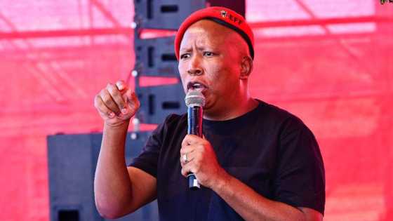 EFF leader Julius Malema says hating black foreign nationals is self hate, calls on the unity of all Africans