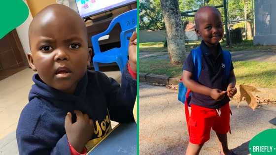 "Don't you want food?": Little boy's concern about Mom's slim figure goes viral, SA entertained