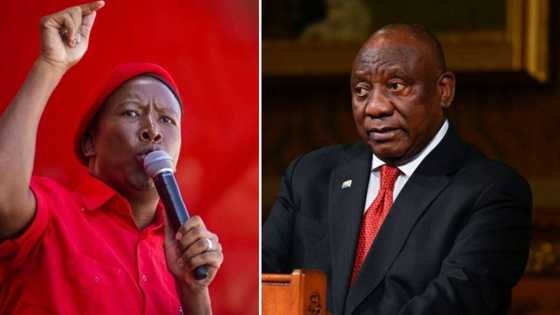 MPs warned not not disrupt Ramaphosa’s Sona but EFF and NFP vow to cause commotion doing address
