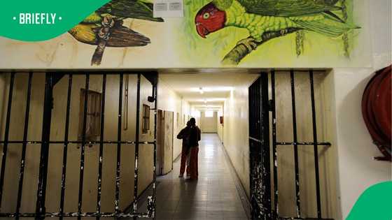 Hawks arrest correctional officer for plotting murder of senior staff at Eastern Cape facility