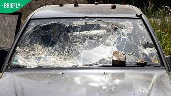 Woman killed after rock thrown from Concord road bridge smashes car on R24
