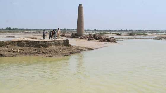 Pakistan's brick workers need kilns reignited after floods