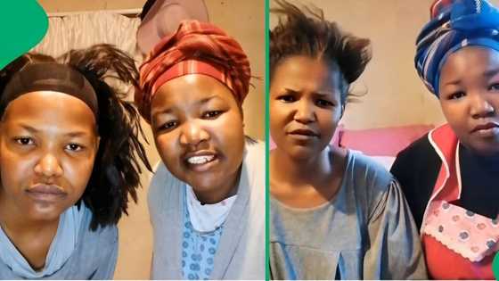“Something bread for who": South African women hilariously disappointed by pizza in video