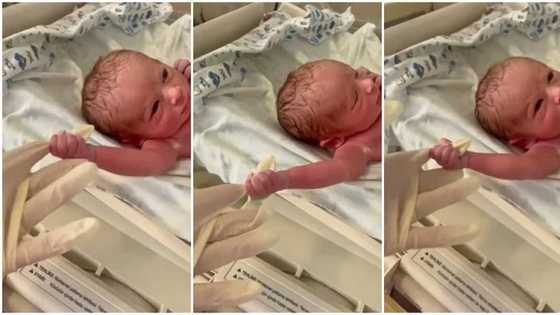 "Put me back": Newborn infant grabs doctor's hand and refuses to let go, hilarious video goes viral