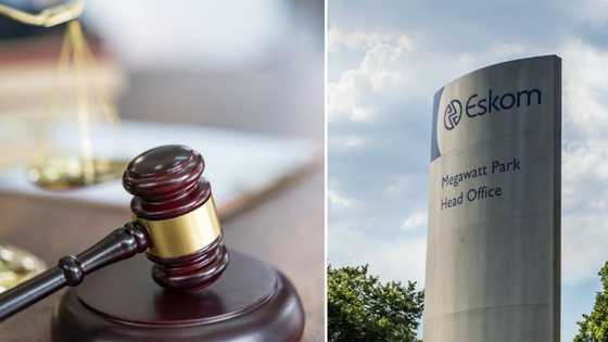 SIU granted order to freeze assets belonging to former Eskom manager, husband and 2 kids, SA welcomes news