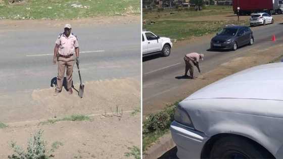 Traffic cop photographed making road safe for motorists after storm