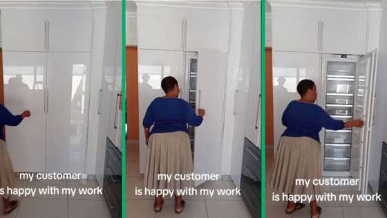 Woman's panel-ready fridge blends seamlessly into kitchen, Mzansi shares their thoughts on design
