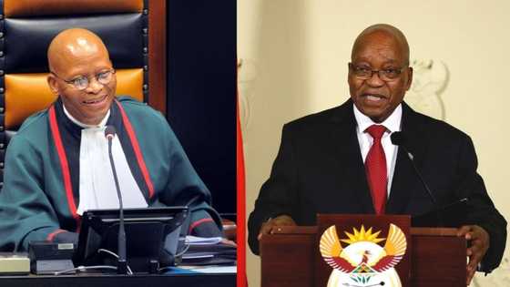 Zuma will not "legitimise" contempt charge by responding to Mogoeng