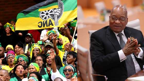 ANC Woman's League confirms tea party with Jacob Zuma in Nkandla