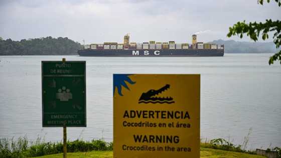 Panama plans dry alternative to drought-hit canal