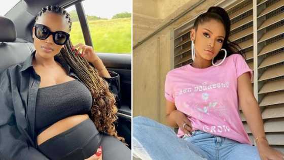 Ayanda Thabethe's baby daddy seemingly confirmed after viral video emerges of Dubai birthday getaway