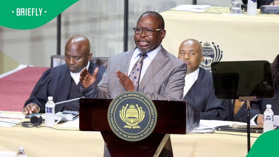 MK Party, Economic Freedom Fighters reject Enoch Godongwana's budget 3.0