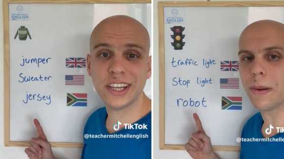 Traffic light vs robot: US man tries to explain Mzansi English in funny viral video, SA laughs out loud
