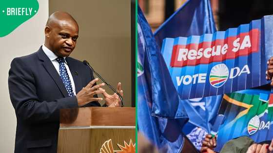 DA wants public release of NDPP panel report following Advocate Mothibi's appointment, SA debates