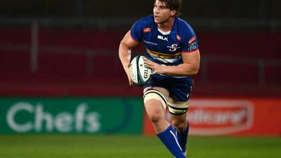 Where does Evan Roos come from? All about the Springbok player