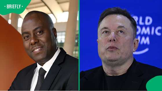 DIRCO DG Clayson Monyela claps back at Elon Musk's farm murder allegations