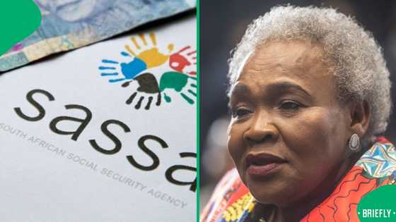 Social Development requests extension of SRD grant, SA says government should create jobs instead