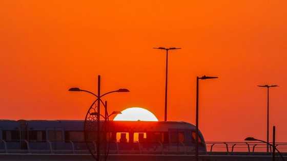 COP28 fossil fuel debate sizzles as world marks record hot year