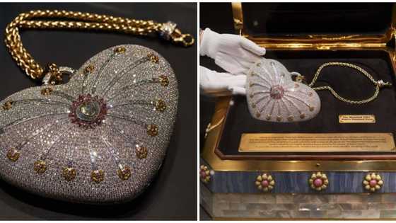 World’s most expensive bag: Mouawad ‘1001 Nights Diamond’ purse is worth R58 million