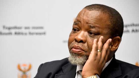 Calls for Mantashe's Axing Mount Amid Money-Laundering Allegations