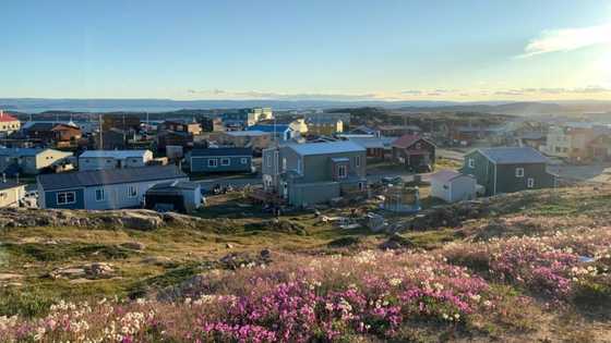 Pope headed to Arctic for last leg of penitential Canada trip