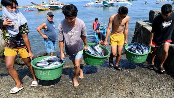 Filipinos fishing on frontline of China's battle for disputed sea