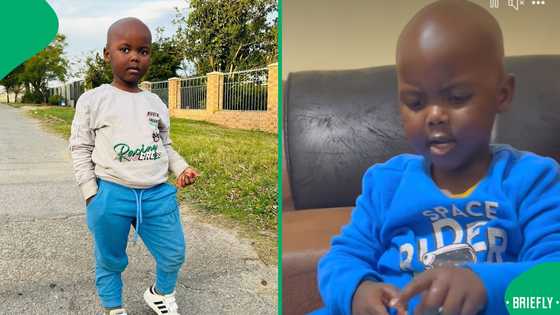 "He knows the difference": Mom tries to trick Zuluboy into believing chicken is pork, SA entertained