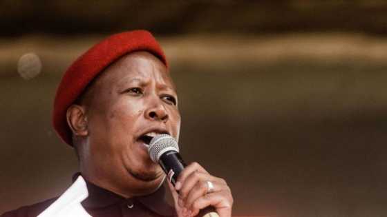 Labour Department responds to EFF's restaurant inspections, blames limited resources