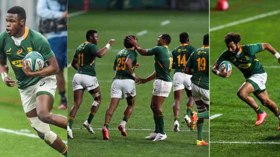 Transformed Springboks beat Argentina in impressive style