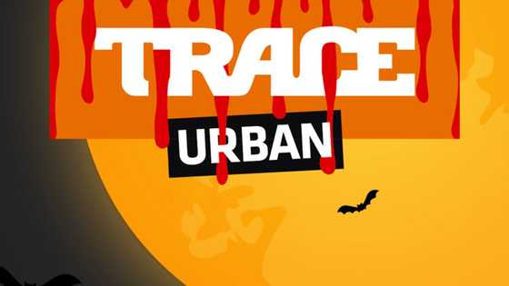 Crucial details about the Trace Urban filmmaking competition