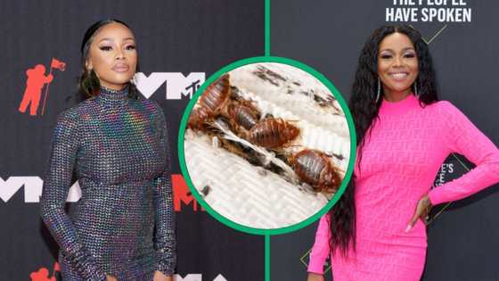 Bonang Matheba wants to fly back to South Africa amid bed bug infestation in Paris