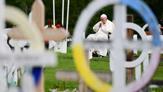 'Overwhelming': Survivors reflect on pope's Indigenous abuse apology