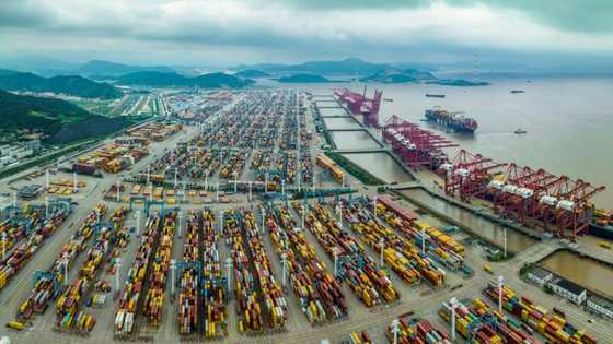 Inflation, high rates and war crimp global trade: WTO