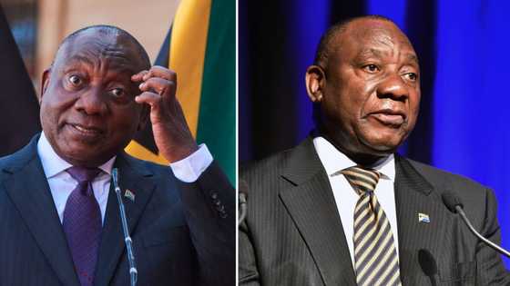 President Cyril Ramaphosa could face probes by SARS and Reserve Bank after millions were stolen from farm