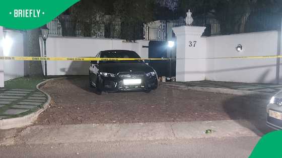SAPS seizes vehicle at Robert Mugabe's son's house and divers brought to search for vehicles