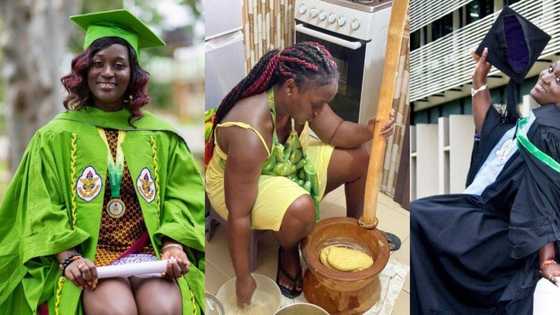 Meet food vendor with degrees in Mathematics & Actuarial Science