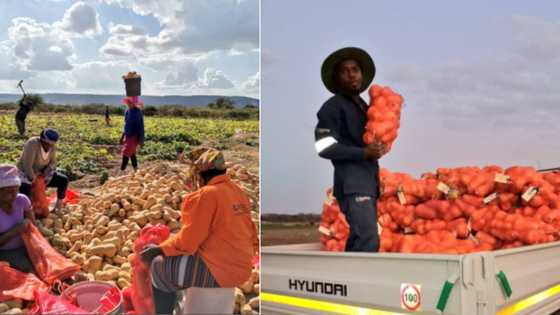 "My heart is full": Lady farm owner shows off success, helps empower other women