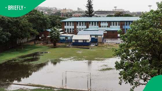 Severe weather forces school closures in Eastern and Western Cape amid growing flood concerns